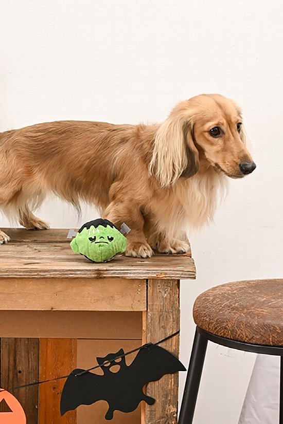 Monster Mash Dog Toy